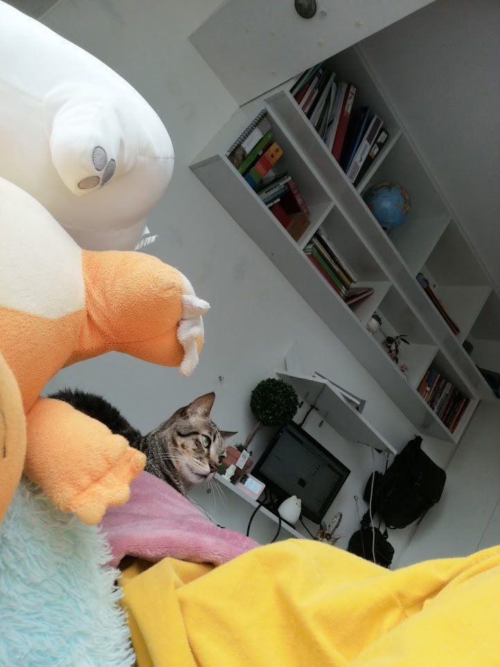 kero